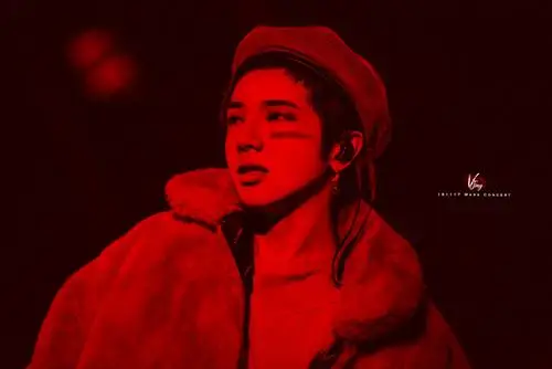 花花 华晨宇-2019火星演唱会 - 堆糖,美图壁纸兴趣社区