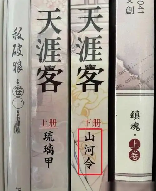 "山河令"不仅是小说里的一个重要信物,还是《天涯客》实体书下册的