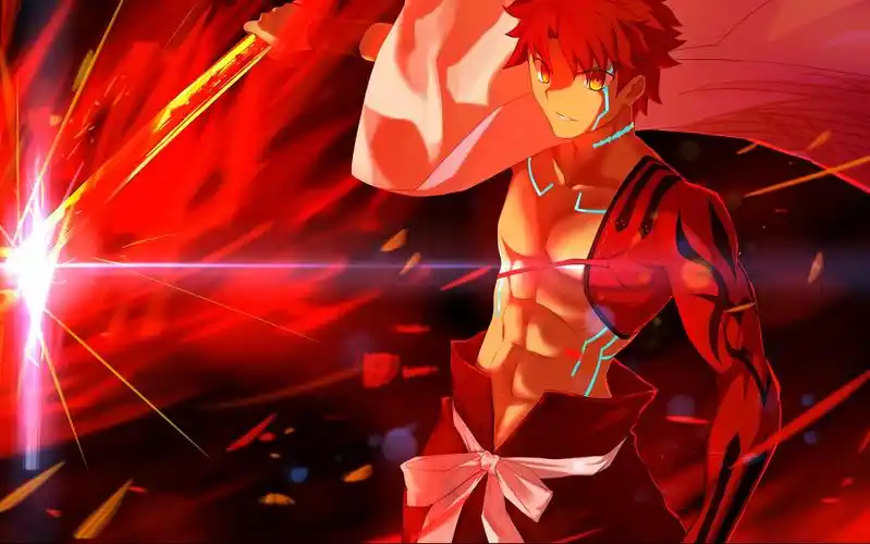 [fate grand order 卫宫士郎] 语音集 [cv 诹访部顺一]