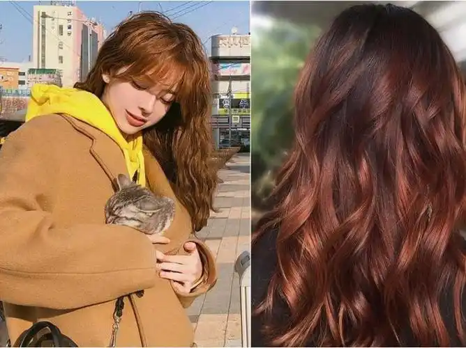 喜爱棕色控的要注意啰!