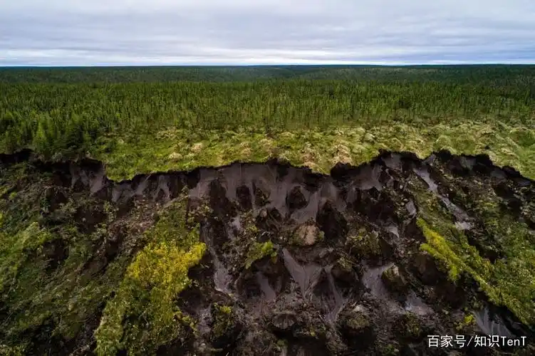 全球冻土层逐渐消融,动物木乃伊出土,远古病毒将被释放?