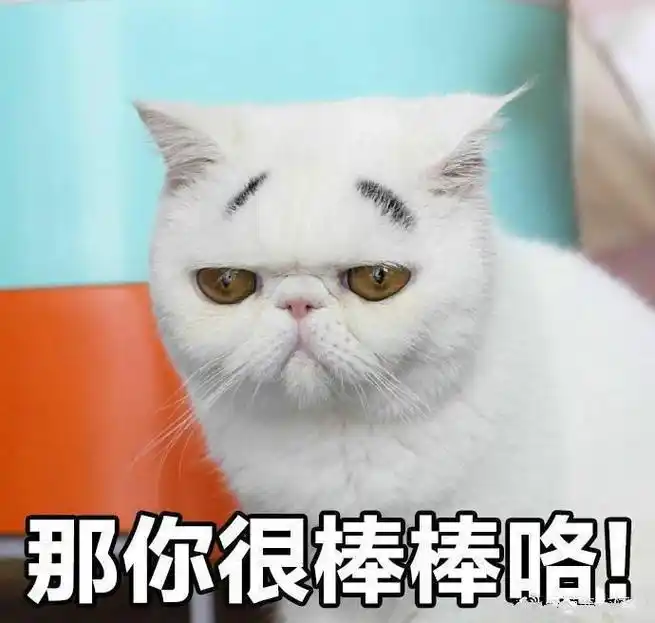 猫咪 可爱 呆萌 斗图 搞笑 那你很棒棒咯