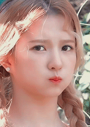 gif:刘些宁.抱图看简介.