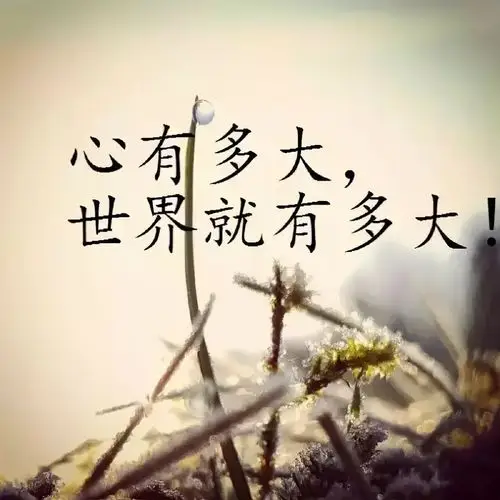 简短心情致自己:心情感悟的说说致自己