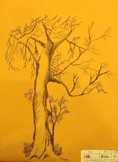 《大树线描临摹》,构图饱满,线条流畅,有节奏感,,大树有生命力,线条