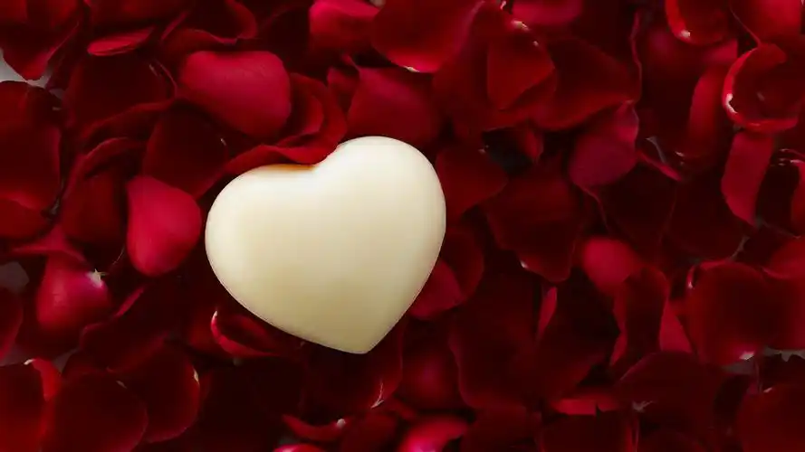 爱心,红玫瑰花瓣 750x1334 iphone 8/7/6/6s 壁纸,图片,背景,照片