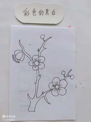 简笔画不怕寒冷的梅花