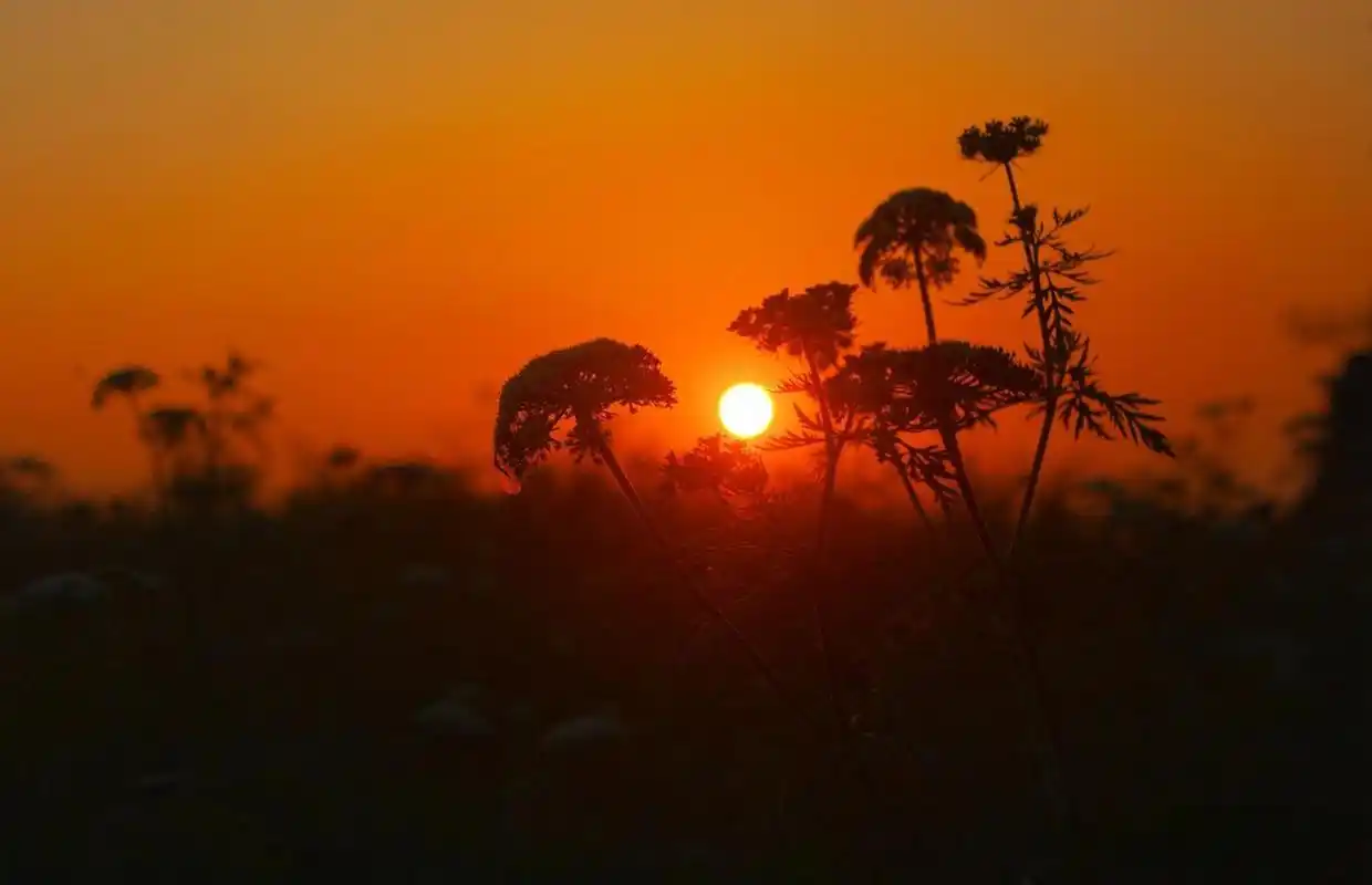 分享一张傍晚的风景照