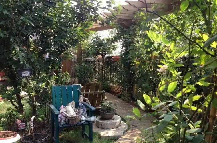 一楼带院子的房子可以买吗房产专家了解3点硬伤后再做选择