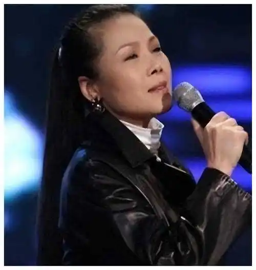 她曾是歌坛一姐,用3个字评价那英,如今已是满头白发无人识_明星_田震