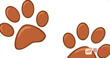 小狗爪子简笔画动物卡通小脚印简笔画所有小动物脚印简笔画可爱的狗爪