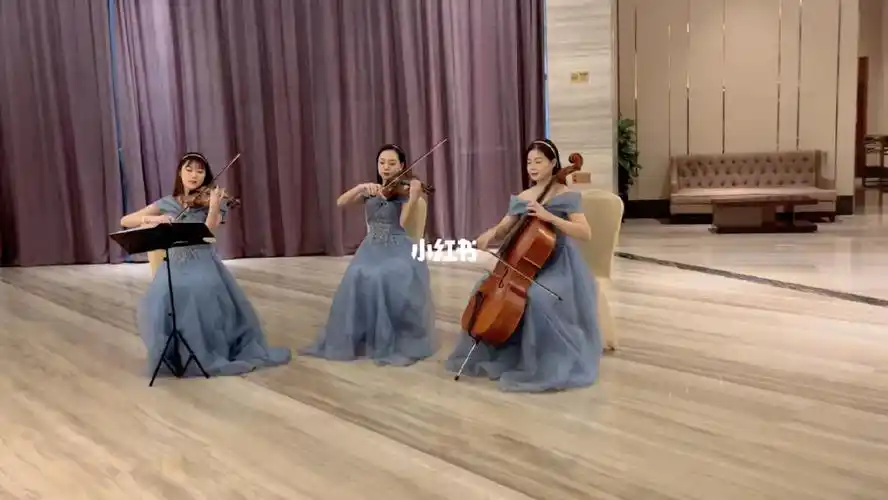 小提琴三重奏迎宾弦乐