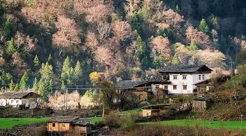 探秘云南雨崩村国内仅存的一妻多夫村落怎么分辨孩子是谁的