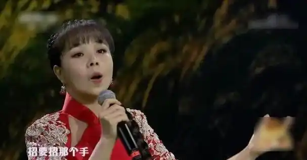 夜幕降临,我躺在床上,口中还轻轻哼唱着今天听到的那些动人的歌曲.