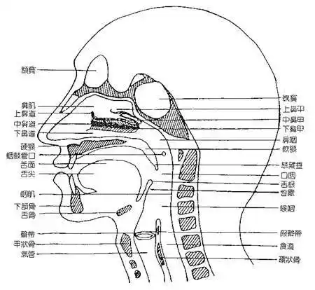 文案变现写出好文案你不得不知道的4个黄金关键点