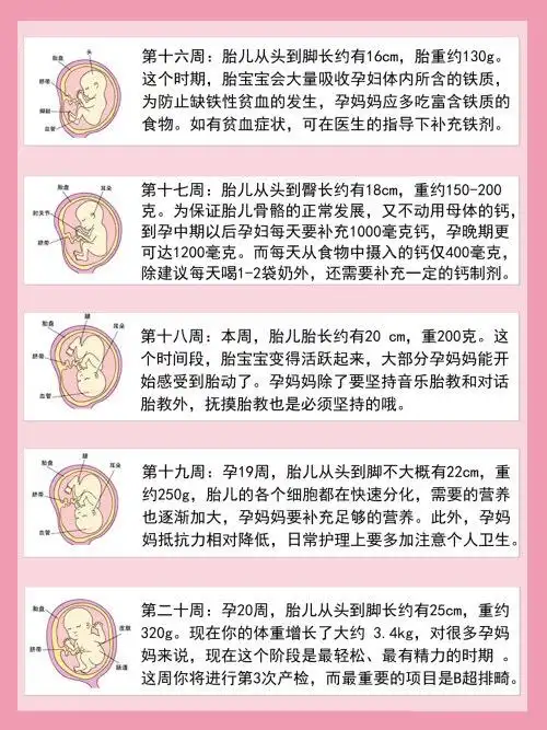 1-40周宝宝发育全图,新手妈妈快了解起来!