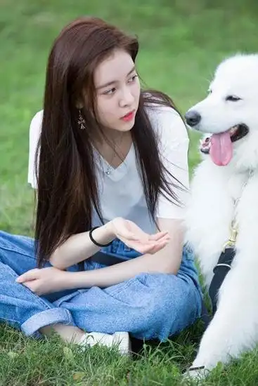 神犬小七第三季先导预告上线宋妍霏演绎率性队长