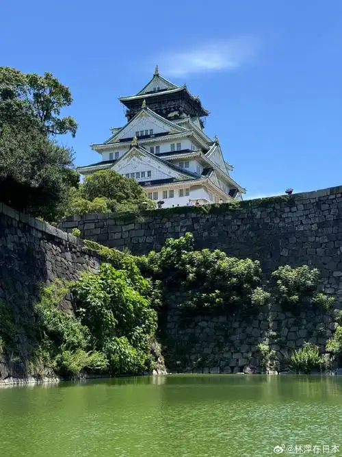 690_920竖版 竖屏