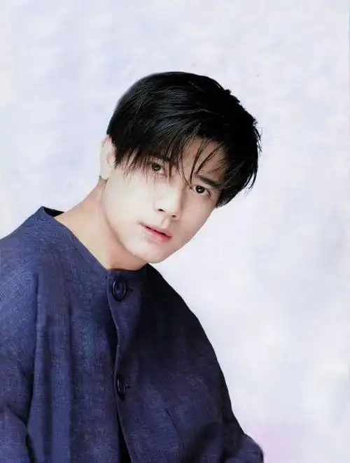 而是更像郭富城的这种.