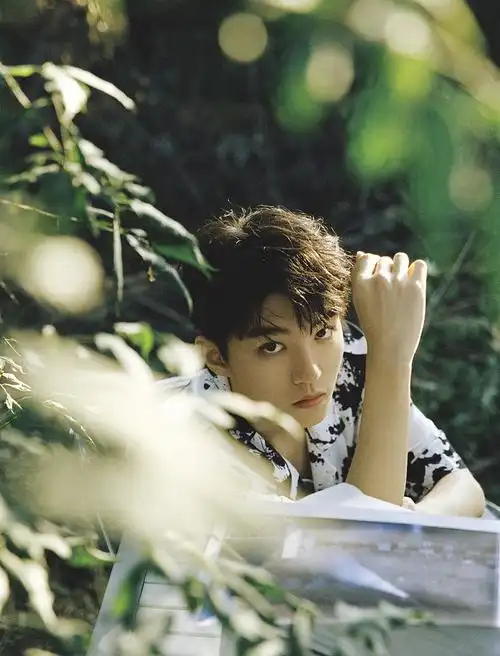 王俊凯落日大片静谧温柔 光影间青春少年气质卓然_凤凰网娱乐_凤凰网