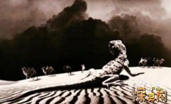 二,罗布泊恐怖生物照片