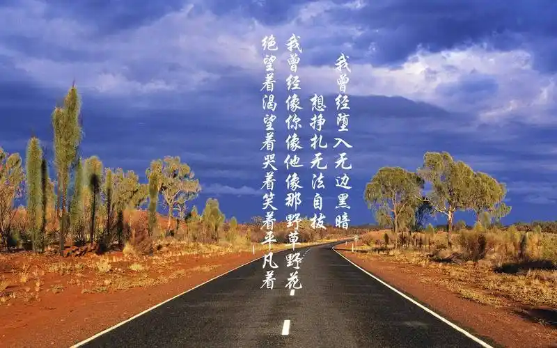 代刷网分站,专业提供微博买点赞,空间刷访客,快手直播人气,抖音上热门