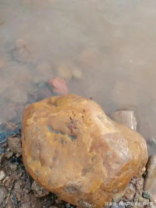 河边发现一块黄蜡石