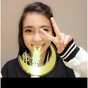 适用于杨颖周边同款手灯演唱会荧光棒粉丝angelababy应援棒发箍定