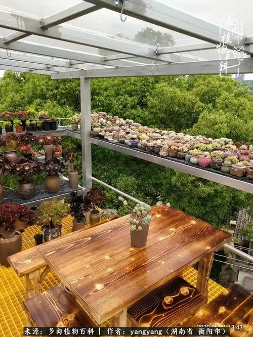 吊车打造空中楼阁,只为圆我的多肉花园梦!