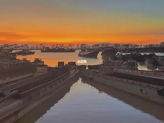 东莞虎门沙角打卡