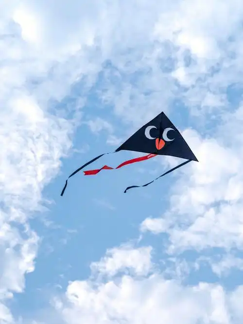 给女儿做了一款超可爱风筝企鹅也飞上天啦