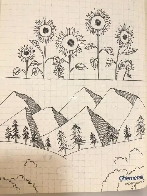 零基础画简笔画 day5