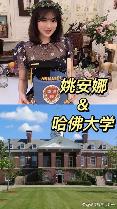 华为二公主姚安娜——哈佛大学