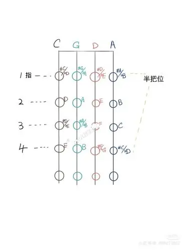 大提琴半把位指法音高图初学必备