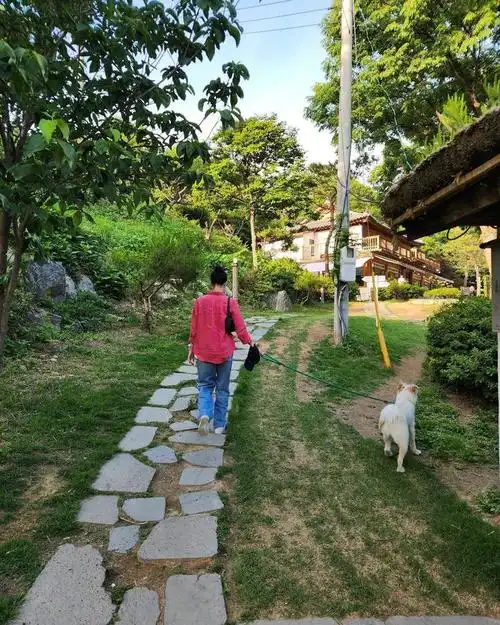 金高银近日ins更新日常生活照都充满了温柔舒服的感觉