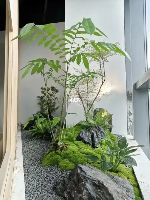 这样的室内植物造景喜欢吗