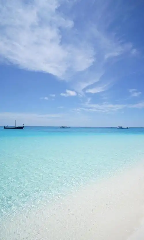 1080_1800竖版 竖屏