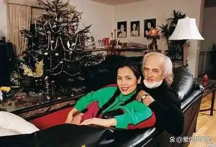 和老外结婚又离的几位明星:鲁豫尝尽婚姻痛苦无儿女,宁静不再嫁