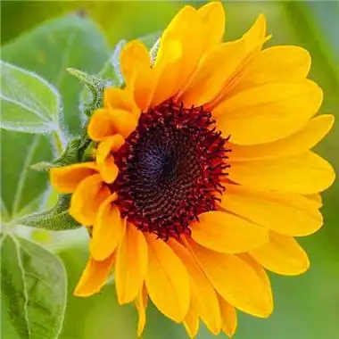 2023能招财带好运的风景头像(共20张)