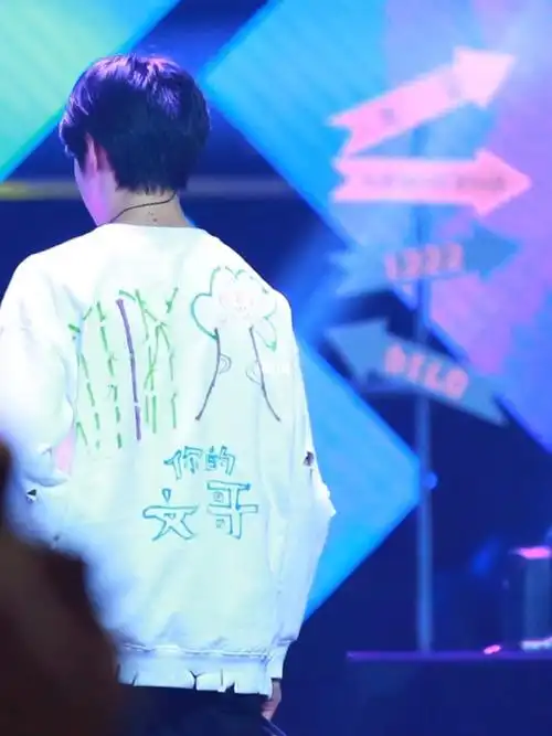 流星会坠落但刘耀文永远耀眼