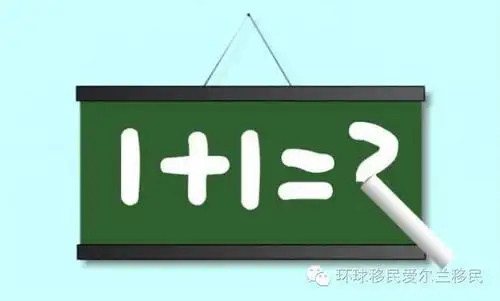 硅谷与教育 | 在爱尔兰,1加1等于 强大!