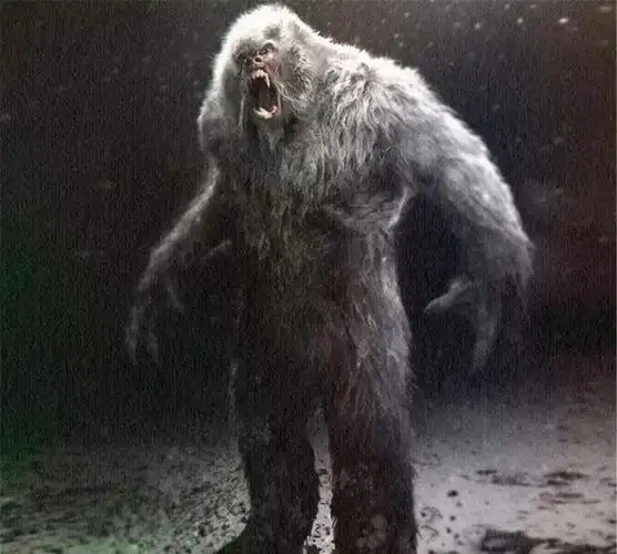 老汉深山采药遇野人浑身红毛似人非人野人莫非真的存在