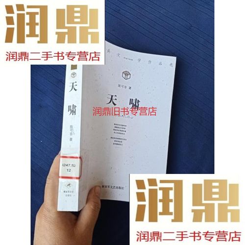 【二手九成新】天啸