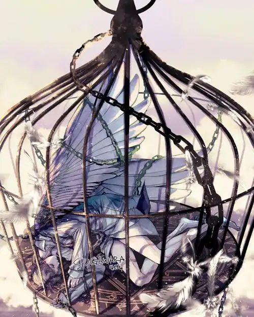 p站美图推荐笼中鸟特辑