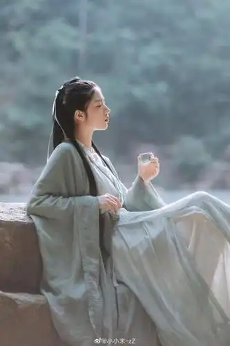 往事随风去流年谁共与花开雪霁待春来古风汉服小仙女