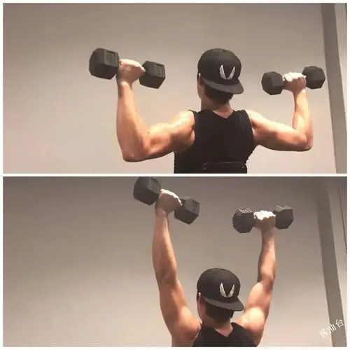 甚至全身肌群,兼顾肌肉肥大和力量增长,是一个训练价值极高的训练动作