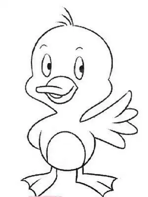 简笔画动物类小鸭子
