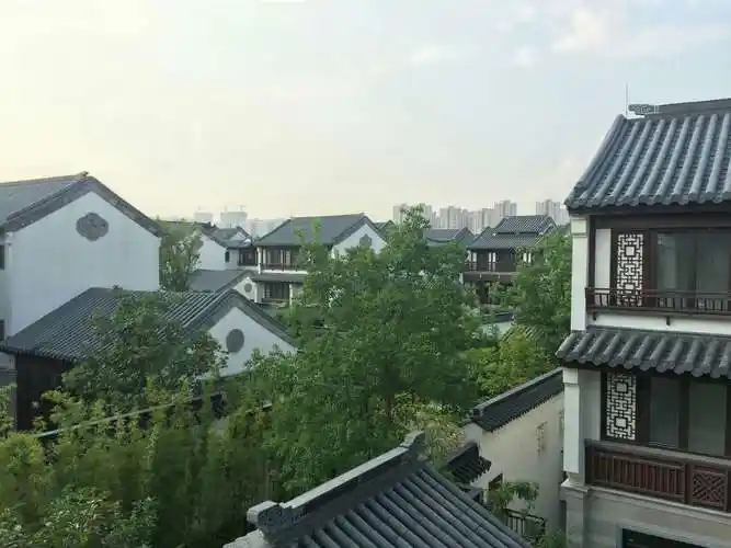 写美篇拙政别墅,位于世界四大园林文化遗产之首苏州拙政园旁的中心