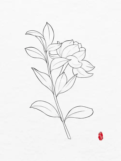 茉莉花插画