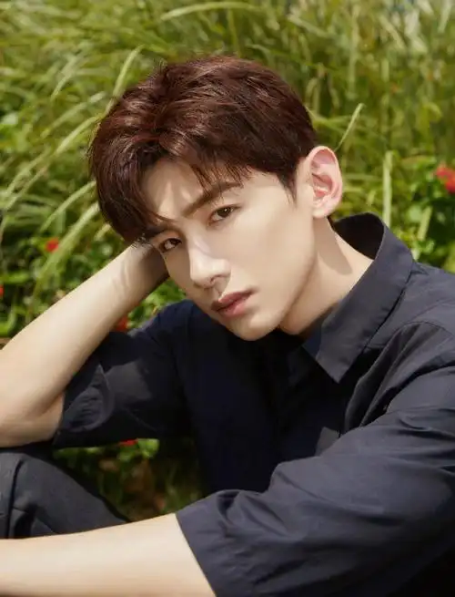 白敬亭工装套装少年感写真图片